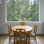 1-bedroom With Sauna דירה היינולה