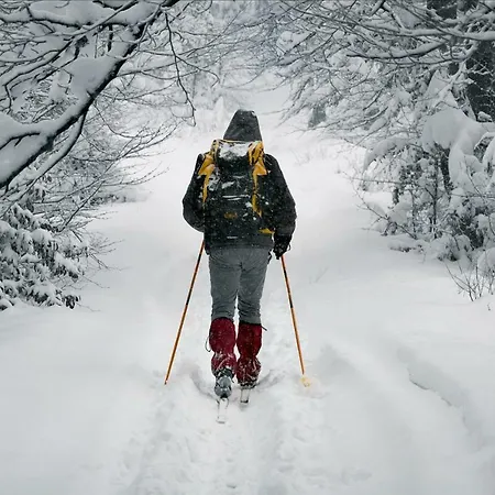 1-bedroom With Sauna Heinola