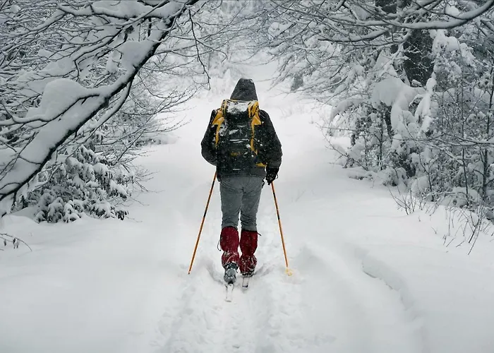 1-bedroom With Sauna Heinola